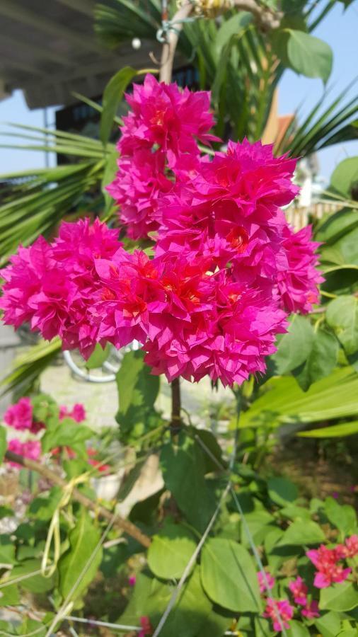 Phong Nha Love Homestay Buitenkant foto