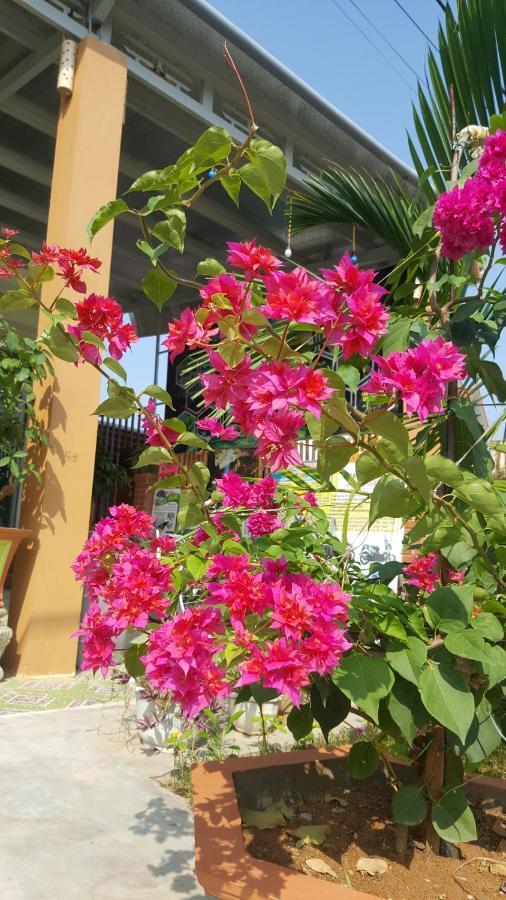 Phong Nha Love Homestay Buitenkant foto